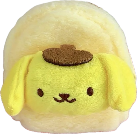 Storage Pouch Keyring - Pompompurin
